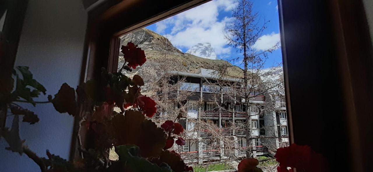 Matterhorn Studio Breuil-Cervinia Exterior foto